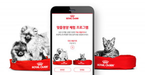 이든앤앨리스마케팅, ‘웹어워드 코리아 2020’ 4개 부문 석권