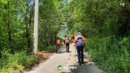 승우여행사, 경북 영주시와 ‘영주 우에로’ 오픈 기념 첫 산행 안전하게 완료