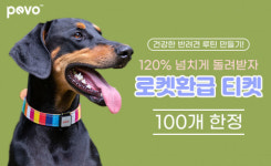 페보, 디바이스 구입비 120% 환급해주는 ‘로켓환급 이벤트’ 진행
