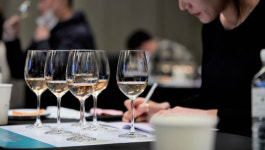 프로방스 로제 와인 협회, 와인 업계 전문인 대상 세미나 개최