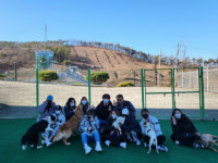 장안대학교 바이오동물보호과, 농림축산식품부에서 ‘동물보건사 양성기관’ 인증