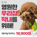 위그힐, 최소 2배 혜택 제공하는 ‘개린이날 럭키박스’ 이벤트 진행