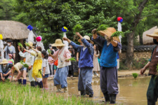 한국민속촌, 도심 속 농번기 체험 ‘양기철철 단오’ 진행