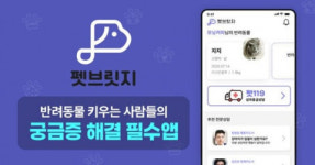 앤리시, 반려동물 전문 상담 서비스 ‘펫브릿지’ 출시