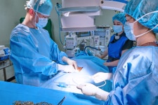 성원아이엔티-충북대학교 수의과대학, 동물용 의료 가이드와이어 연구시연회 개최