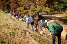 KB국민은행-서울그린트러스트, 궁궐숲 캠페인 2년 차 맞아 생태감수성 프로그램 확대