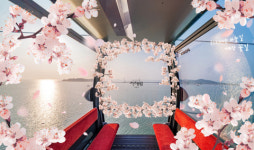 새로워진 하늘길로 봄을 알리다… 제부도해상케이블카 서해랑, 봄맞이 리뉴얼 진행