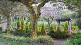 제주 허브동산, 5월 어린이날 맞아 무료입장 및 이벤트 진행