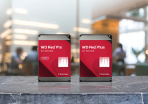 대원씨티에스, KOBA 2025에서 Western Digital 및 ASUSTOR NAS 솔루션 공동 전시