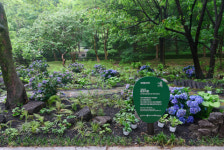 서울그린트러스트-로레알코리아, 미래를 위한 ‘로코가든’ 조성… 도심 속 작은 마법