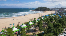 강원 고성 오호항 어촌신활력증진사업 ‘오호리네 가을식탁 & 테일마켓’ 성황리 개최