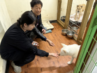 녹십자수의약품, 청주시수의사회와 함께 유기동물 치료 및 예방접종 지원