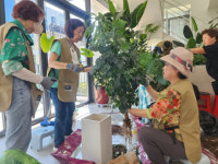 서초구립중앙노인종합복지관, ‘서리풀 가드너’를 중심으로 반려식물을 꽃 피우다