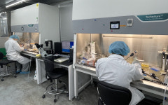 셀레브레인 ‘CB11’, 미국 FDA 희귀의약품 지정… 악성 신경교종 치료제 개발 가속