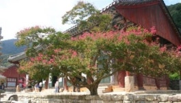 [⑦선운산 자락에 선운사가 있다] 속세 벗어나 천천히 오르는 산길…부처의 진리를 엿보다