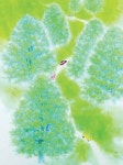 전북도립미술관 소장품 순회전, 31일까지 순창군립도서관