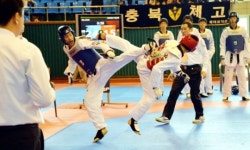 우석대 총장기 전국 태권도 겨루기 대회 5인조 겨루기, 태권도 발전 모델로