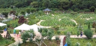 완주서 무궁화랑 같이 놀자