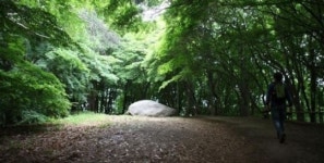 [21. 전주 천년고도 옛길 제1코스 건지산 길] 가을 힐링 여기가 딱이네