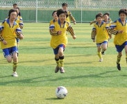 남원시, 스포츠 메카로 우뚝