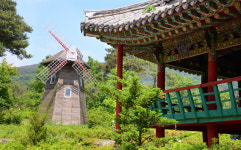 국적 불명 풍차, 전통의 멋 반쪽