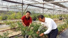 완주군, 귀농연수생·선도농가 연계 현장 실습 호응