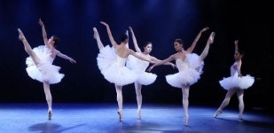 청미르 발레단 춤추는 아름다운 백조 이야기 공연