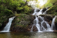 무주사진가협회 회원전, 이달말까지 김환태문화관서