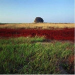 그때, 군산을 만났다 전