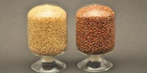 정읍 첨단방사선연구소, 방사선 육종기술 이용 신품종 벼 개발