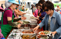 [新 팔도유람] 강원도 산나물 축제
