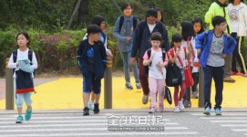 교통사고 예방 옐로카펫