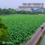 [전북일보 카드뉴스]덕진채련(德津採蓮) : 덕진연못 연꽃 필 무렵