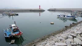자로 잰듯 뻗은 그 해변을 인간은 걸었네: 고창 구시포, 동호 해수욕장