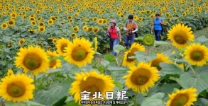 당신을 사랑합니다