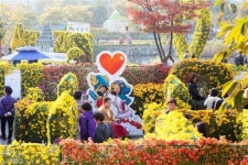 익산 천만송이 국화축제 28일부터 중앙체육공원서