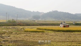 [철도기행: 임피역 편] 멈춘 시간과 멈추지 않는 열차들
