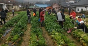 남원 지리산허브 관광농원 체험 마무리