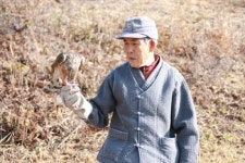 진안 세계무형유산 매 사냥 체험홍보관 열고 계승 날개