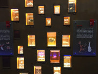 [新 팔도유람 - 충남 서천 국립해양생물자원관] 물밖에서 만나는 바닷속 모든 생명