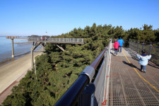 [新 팔도유람 - 충남 서천 국립해양생물자원관] 물밖에서 만나는 바닷속 모든 생명