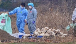 김제 등 AI 중복 발생지 농장 시설 현대화 국고 더 받는다
