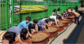 완주 고산농협, 초등생 대상 모내기 체험 실시