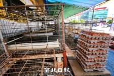 [여름에도 AI, 발생 배경과 대책] 소규모 농가 유통·전통시장 판매 닭에서 발병…토착화 우려