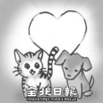 반려동물 전성시대