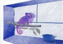 완주 책공방 책 만들기에서 동화책 만든 최민주씨 내가 하고픈 이야기 맘껏 풀어놨어요