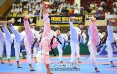 전국 태권도인 화려한 경연