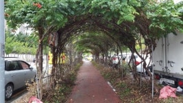 익산시 어양동 해피하우스터널 감성터널로 탈바꿈 계획