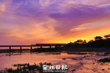 비비정의 가을맞이