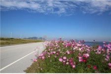 새만금방조제 수변로 일부 차량개방 호평